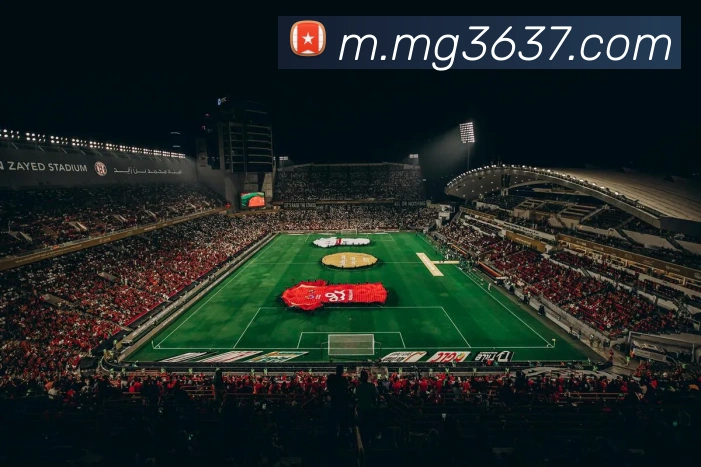 App Interface Preview