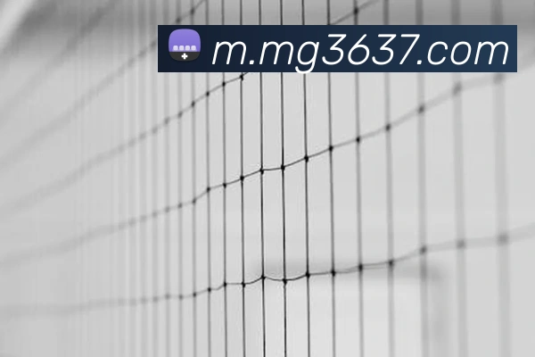 MG娱乐平台官网APP 封面图